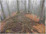 Spodnja Rečica - Gozdnik
